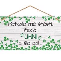 Bohemia Gifts Dekoračný obrázok na zavesenie - Šťastie
