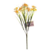 Narcis žlto-biely, kytica s 15 kvetmi, v. 32 cm