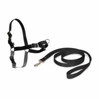 PetSafe Postroj EasyWalk čierny XL