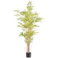 Umelá rastlina Bambus, 150 cm, zelená