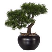 Umelý Bonsai borovica, v. 25 cm